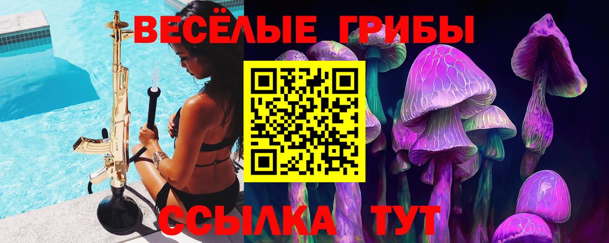 Псилоцибиновые грибы MAGIC MUSHROOMS  Лыткарино  Псилоцибиновые грибы Psilocybine cubensis 