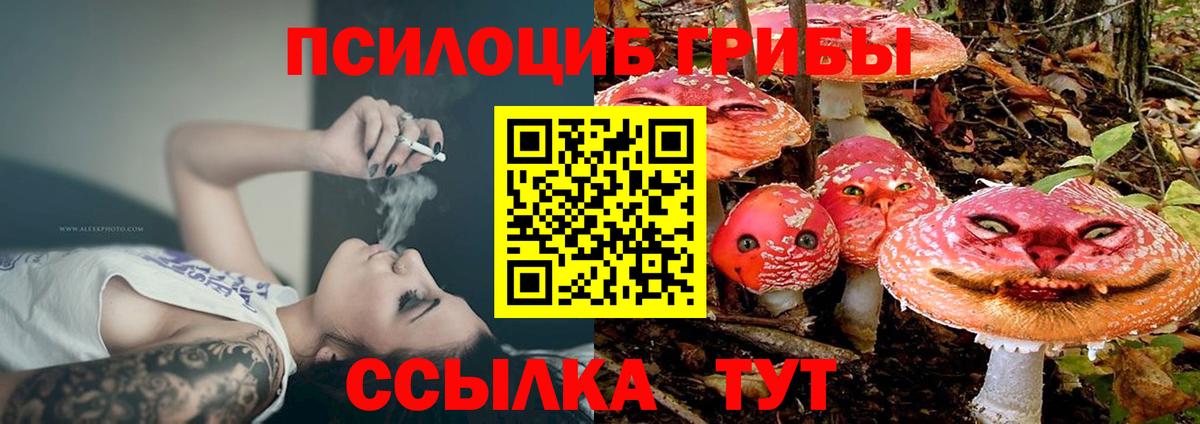 Галлюциногенные грибы Magic Shrooms Лыткарино